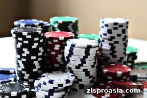 尊龙凯时：飞禽走兽麻将出牌模式与胡牌策略全新解读
