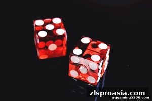 AG真人 zlsproasia